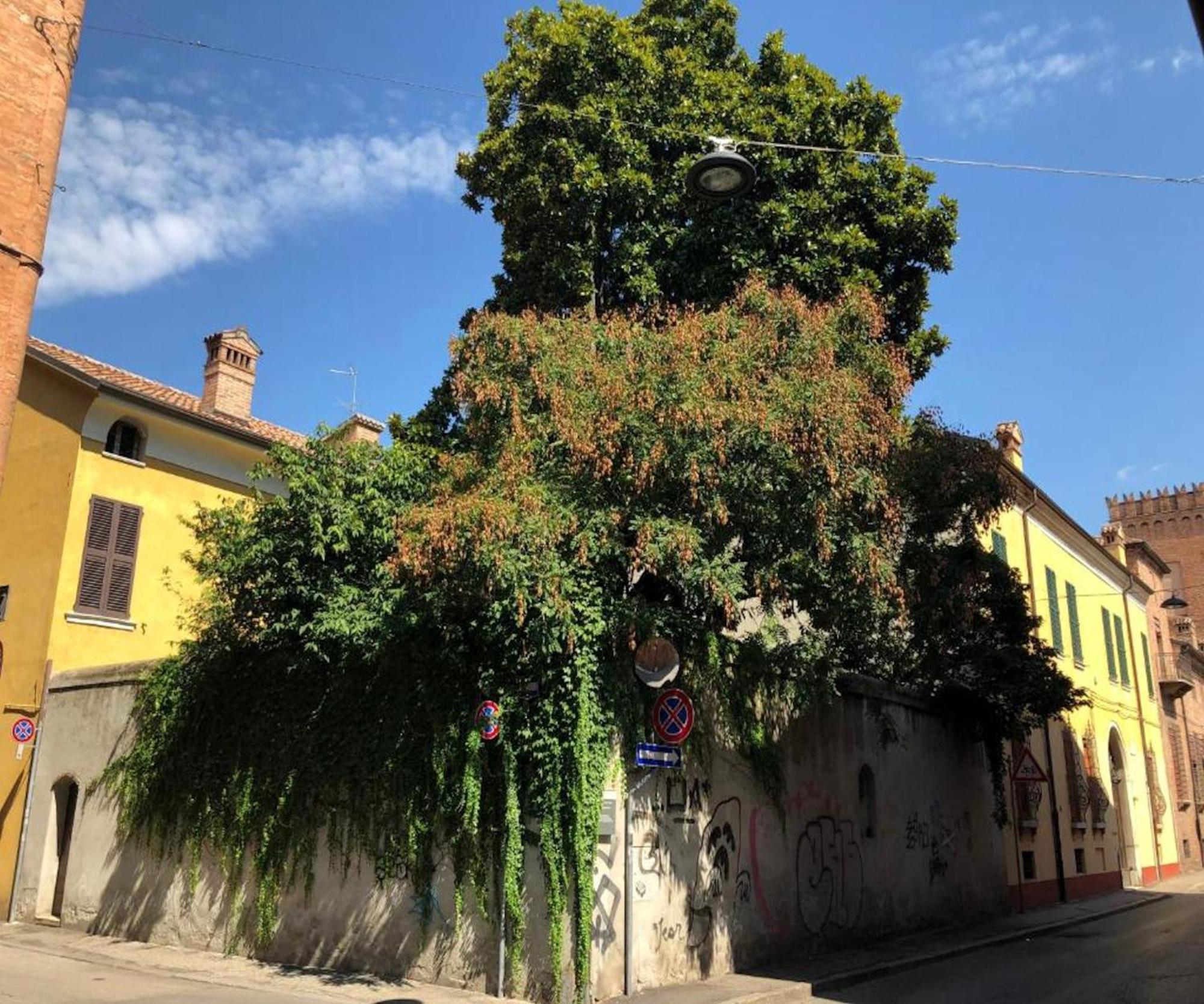 Il Giardino Segreto Apartment Ferrara Luaran gambar